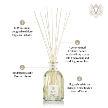 Dr. Vranjes Ginger and Lime Crystal Room Diffuser 500 ml
