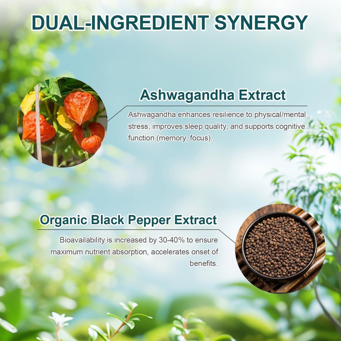 DR.YES Ashwagandha Capsules 500mg with Organic Black Pepper – Stress Relief, Sleep, Focus & Mood | Non-GMO, Vegan, 90 Capsules