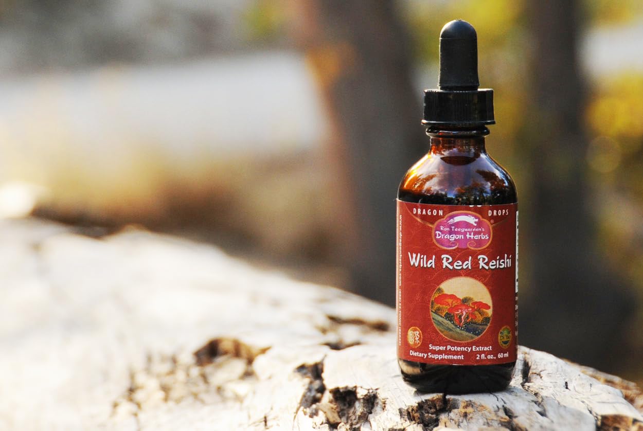 Dragon Herbs Wild Red Reishi Drops - 2 fl oz
