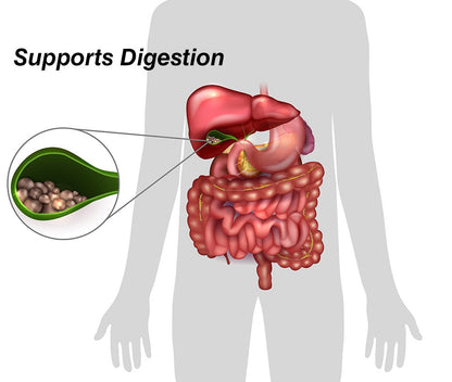 DrFormulas 18 Digestive Enzymes - Gallbladder & Pancreatic Support (60 Capsules)