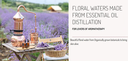Orange Blossom Floral Water - Silky Smooth Skin Rejuvenation