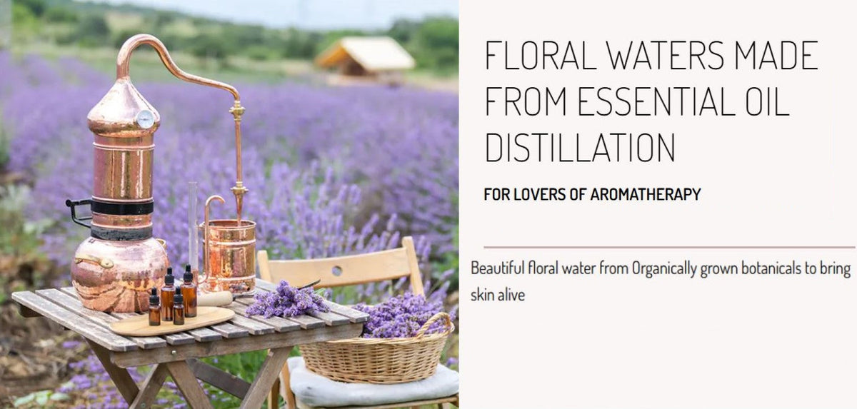 Juniper Berry Floral Water - Oily Skin and Muscle Tone