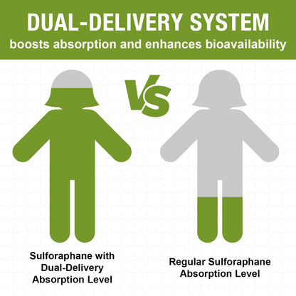 800 mg Liposomal Sulforaphane – Dual-Delivery, Full-Spectrum Broccoli Extract | 360 Softgels