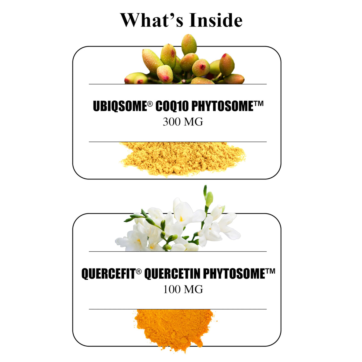 Durable CoQ10 Phytosome 300mg with Quercetin – 9X Absorption, Made in USA