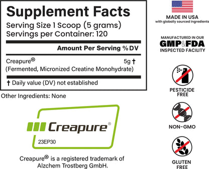 E1P Creapure Creatine Monohydrate 600g | Unflavored, Non-GMO, Vegan