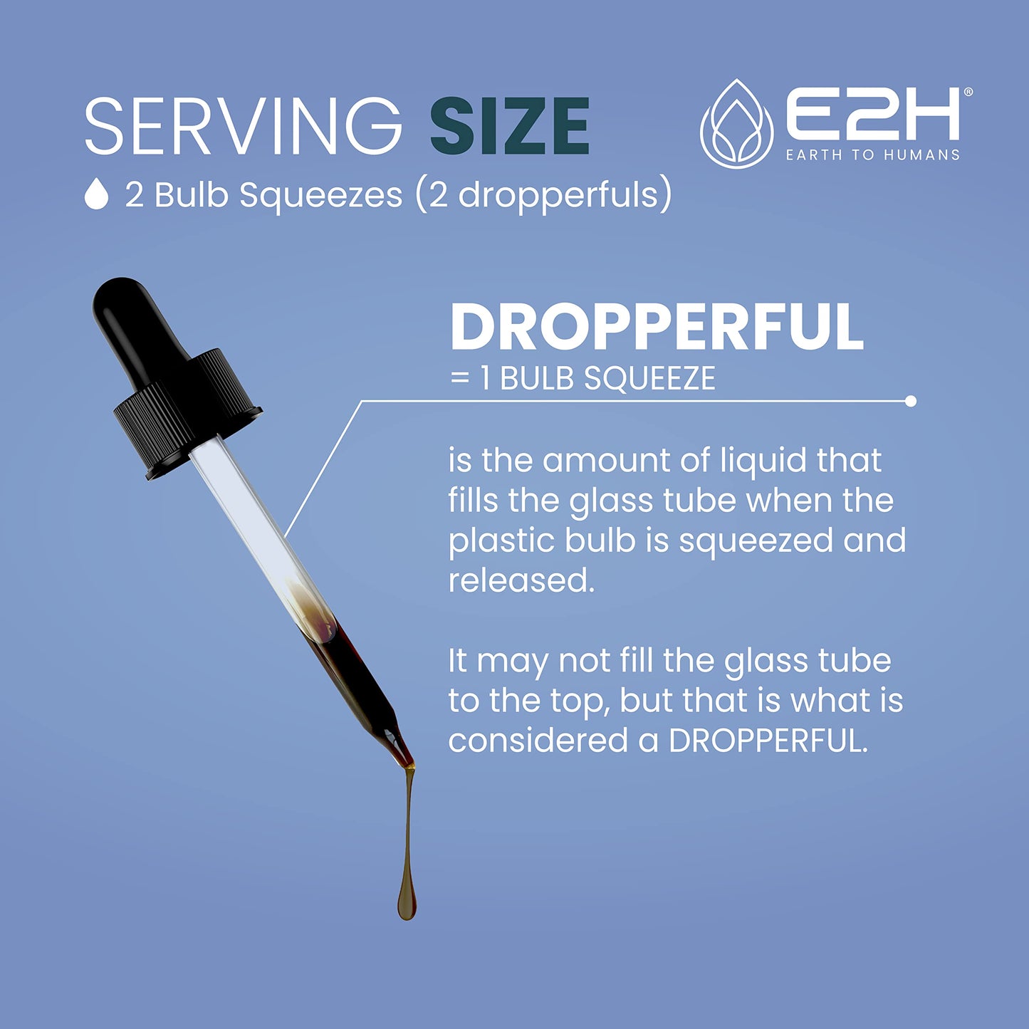 E2H Black Currant Extract - Cold-Pressed Seed, Immune Support (3 Bottles)