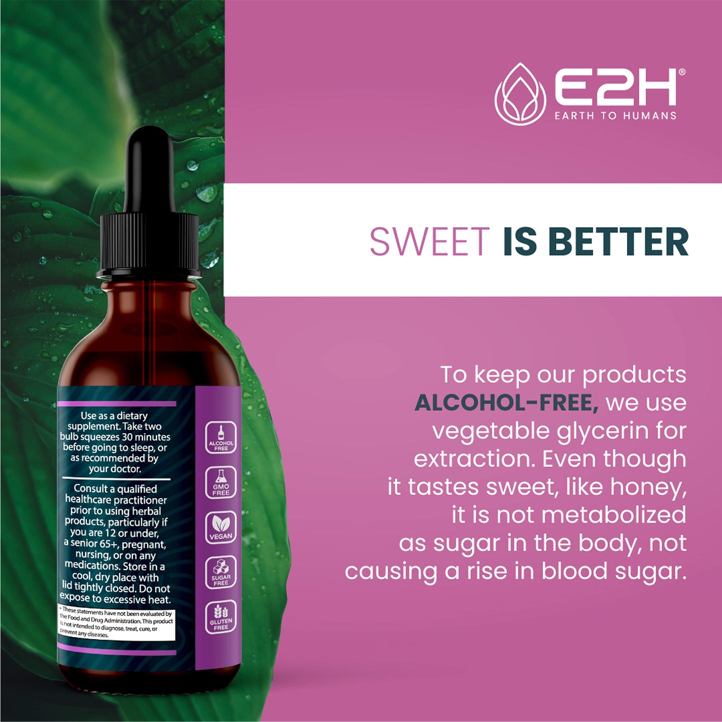 E2H Natural Sleep Support – Liquid Melatonin with Chamomile & L-Theanine (2 oz)