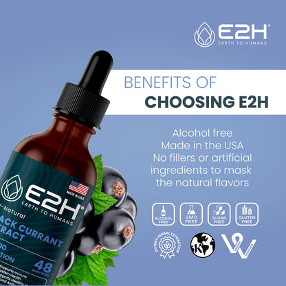 E2H Black Currant Extract - Cold-Pressed Seed, Immune Support (3 Bottles)