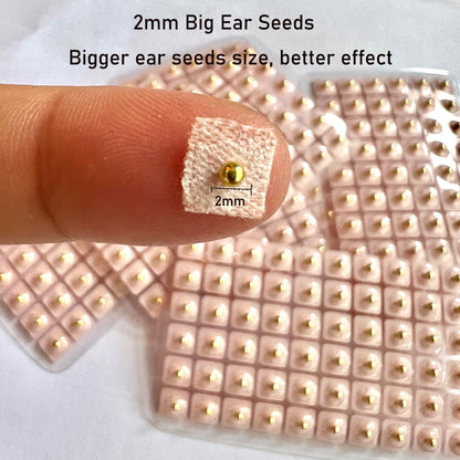 Ear Seeds Acupuncture Kit - 300 Pieces with Chart & Tweezers | Balance & Wellness