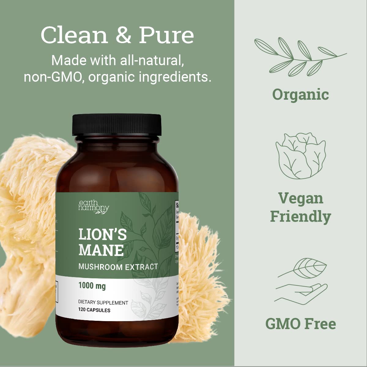 Earth Harmony Naturals Organic Lions Mane Supplement (1000mg) - 120 Capsules, 2-Month Supply