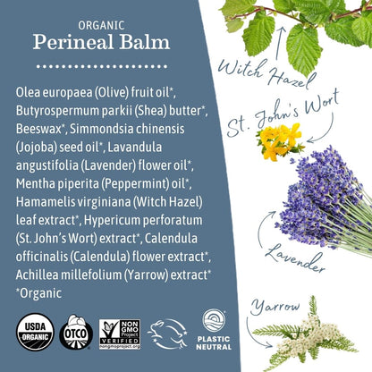 Earth Mama Organic Perineal Balm | Cooling Herbal Salve for Pregnancy & Postpartum, No Benzocaine or Butane, 2 oz (3-Pack)