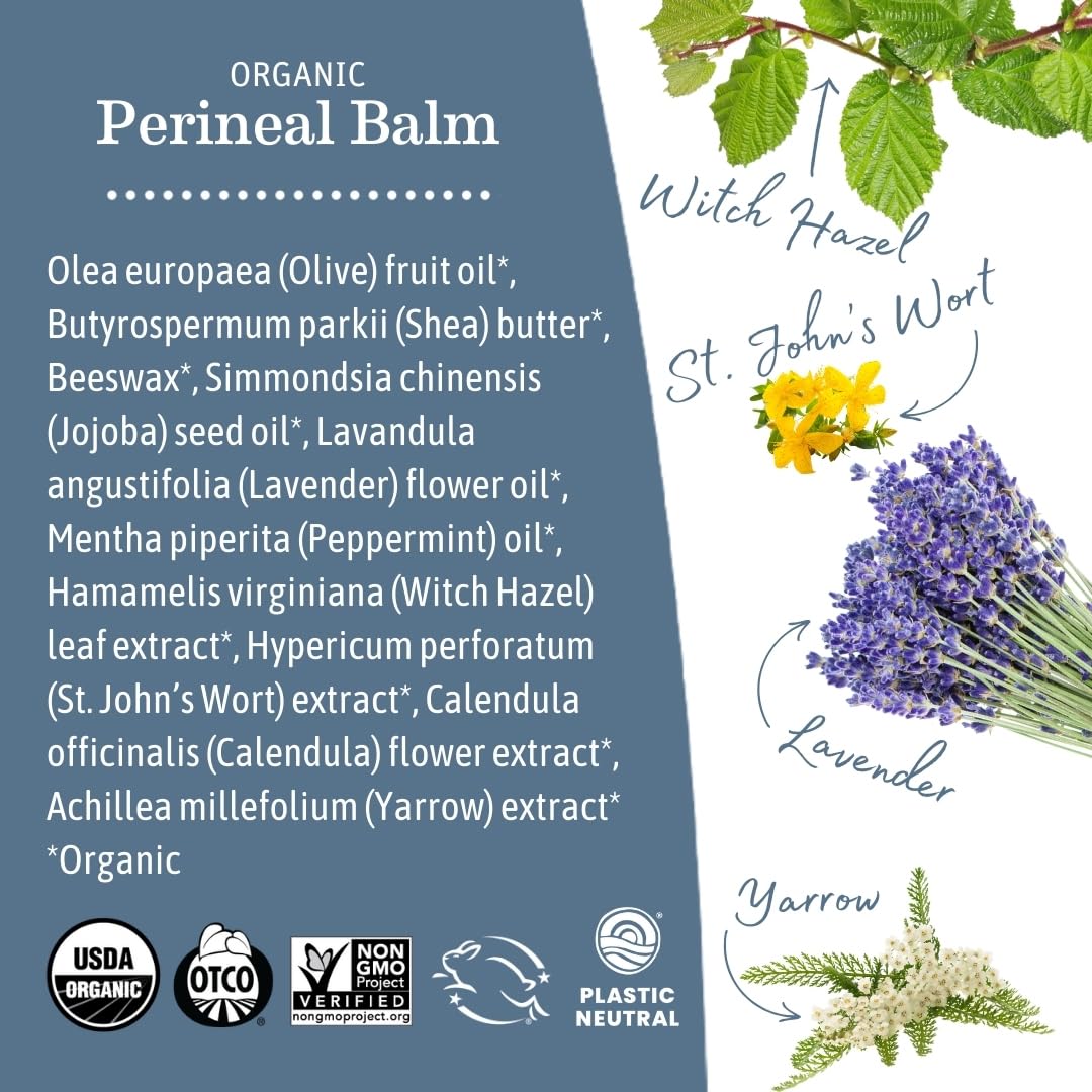 Earth Mama Organic Perineal Balm | Cooling Herbal Salve for Pregnancy & Postpartum, No Benzocaine or Butane, 2 oz (3-Pack)