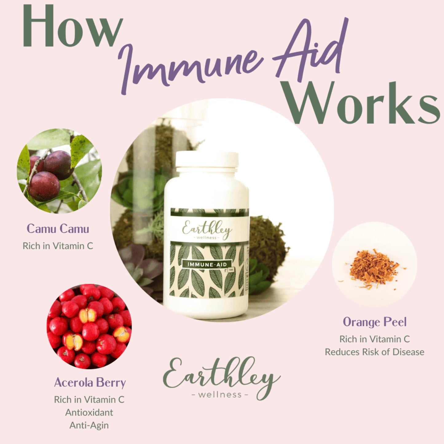 Earthley Immune-Aid Vitamin C Powder – Natural Immune Support (8 oz)