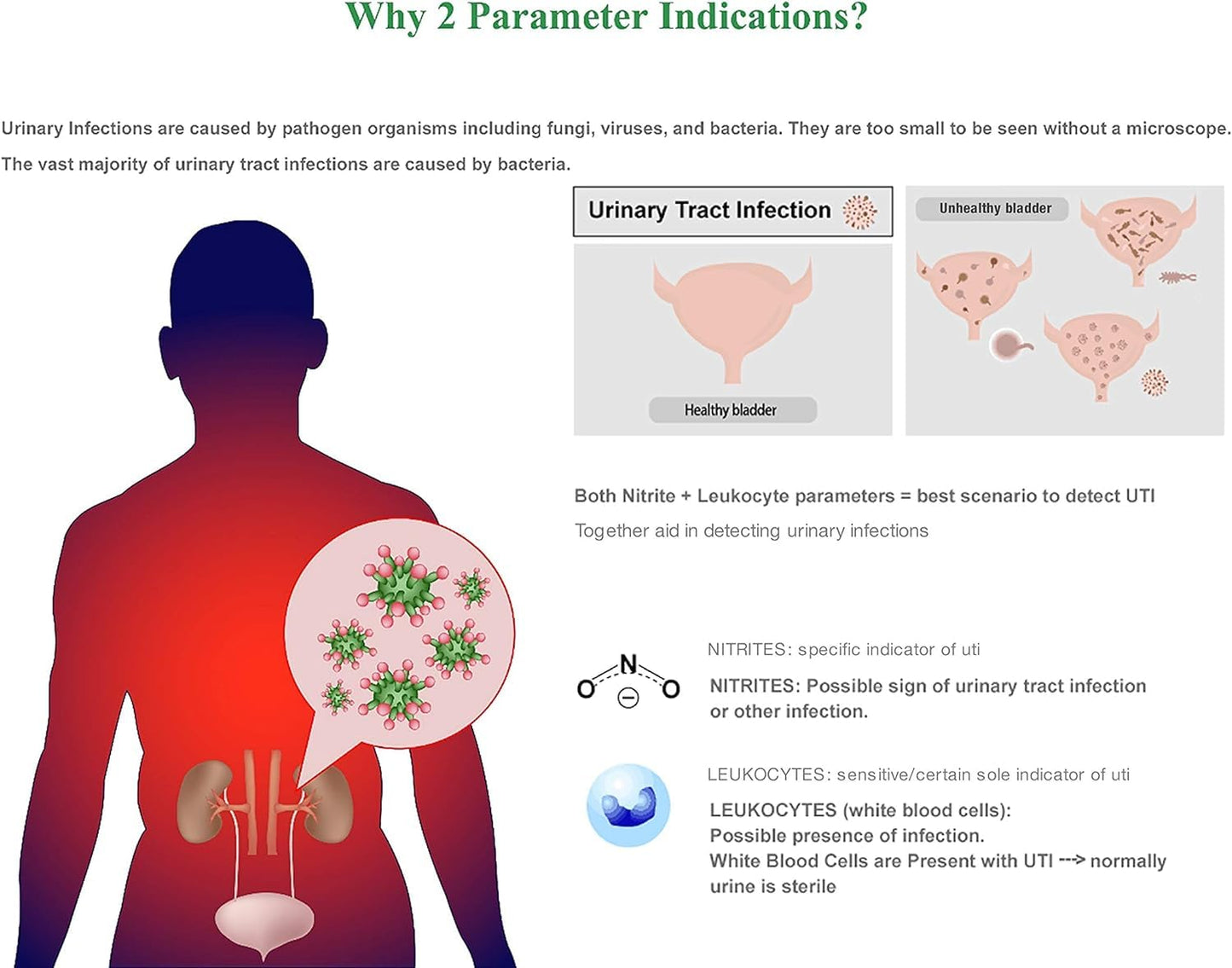 Easy@Home UTI Test Strips (UTI-10P) – 10 Pouch, FSA Eligible