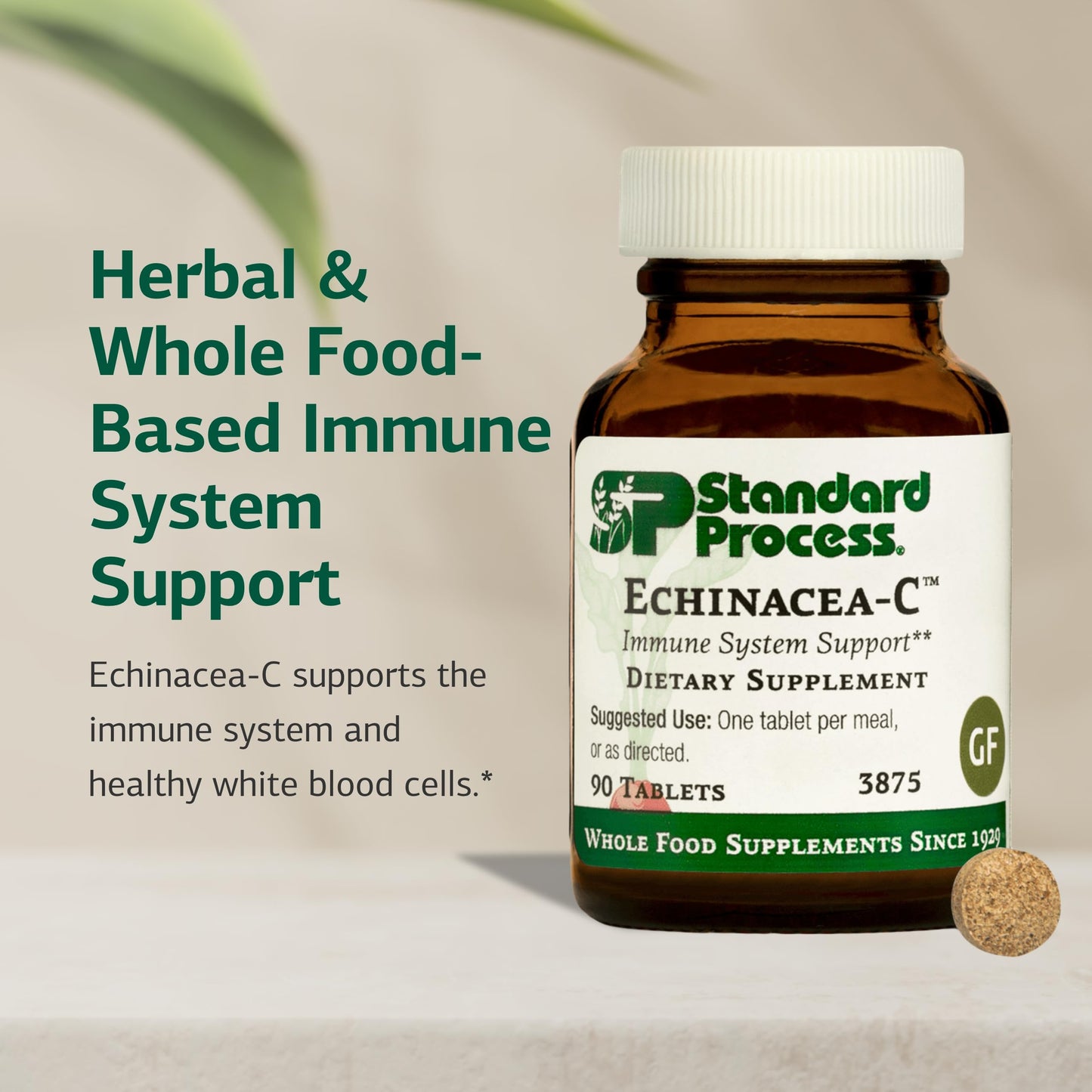 Standard Process Echinacea-C - Immune Support Supplement (90 Tablets)