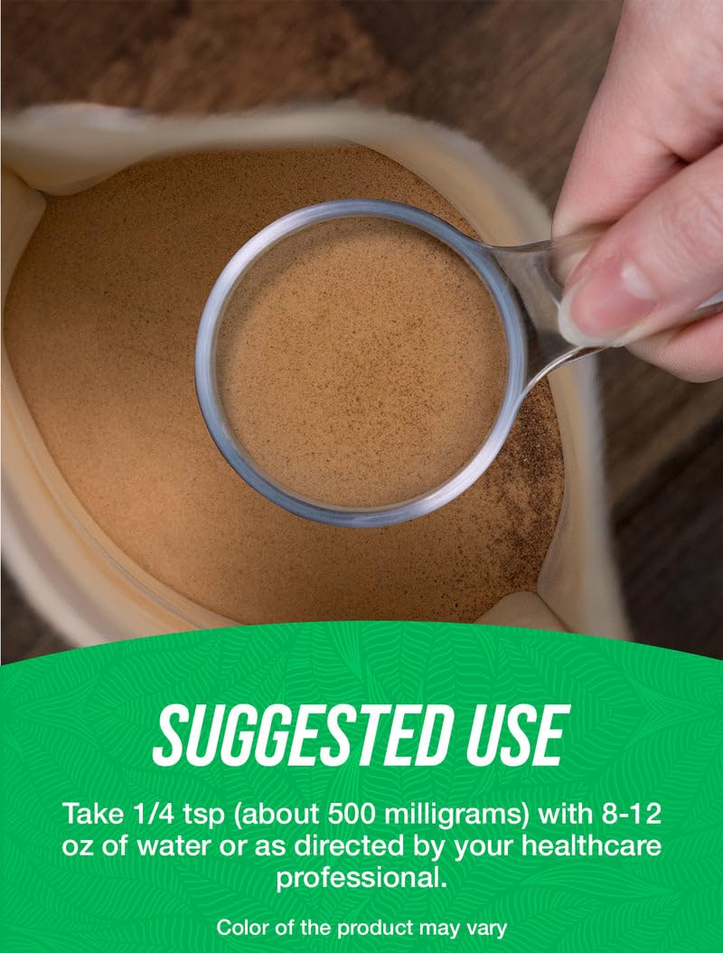 BulkSupplements Echinacea Extract Powder - 500mg/Serving, 1kg (2.2 lb) - Vegan & Gluten Free