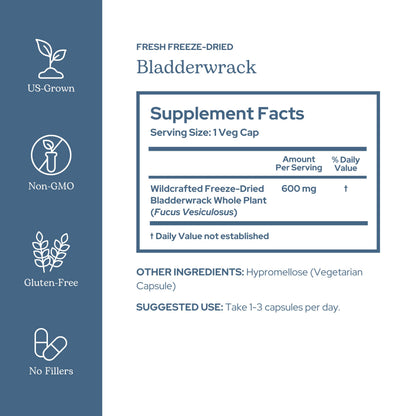 Eclectic Herb Bladderwrack Capsules — Freeze-Dried Seaweed for Endocrine Support, Skin & Hair | Vegan, Non-GMO (90 ct, 600 mg)