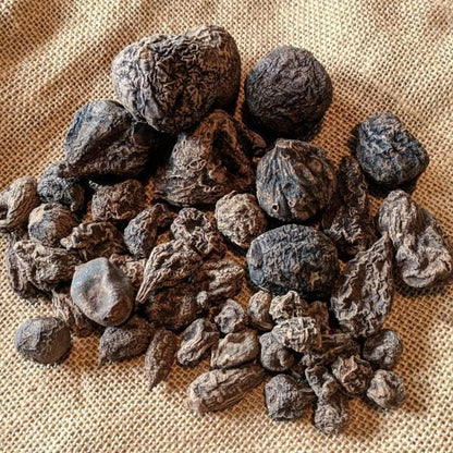 EcoVista High John root | High John The Conqueror Root | Wicca Pagan Curio Magick | Ipomoea Jalapa | Organic Harvested | Carry For Luck | 1 ounces/oz