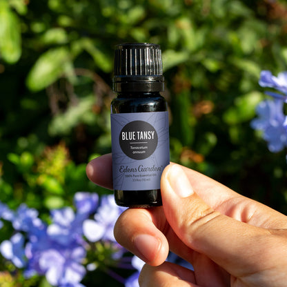 Edens Garden Blue Tansy Essential Oil – 100% Pure Premium Grade, 10 ml
