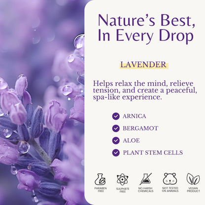 Edenika Botanicals Lavender Massage Oil – Relaxing Aromatherapy & Fast-Absorbing Massage Oil (2-Pack)