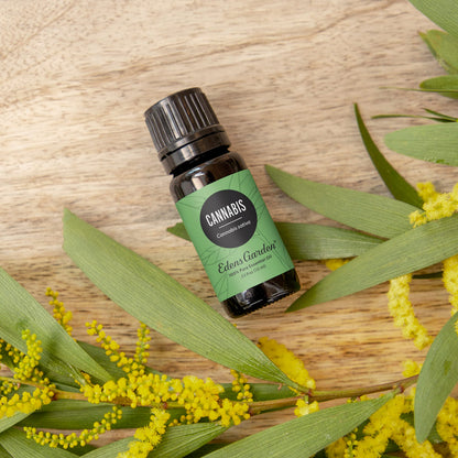 Edens Garden Cannabis Essential Oil – 100% Pure Premium Grade, Undiluted Aromatherapy for Diffusers, Skin, Candles & Humidifiers 30 ml
