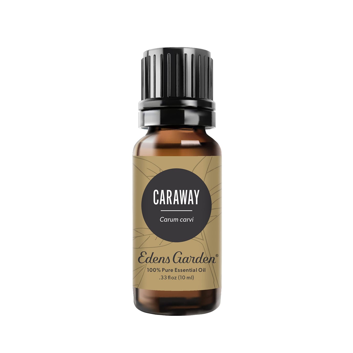 Edens Garden Caraway Essential Oil – 100% Pure, Premium Grade, 10 ml