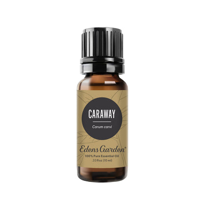 Edens Garden Caraway Essential Oil – 100% Pure, Premium Grade, 10 ml