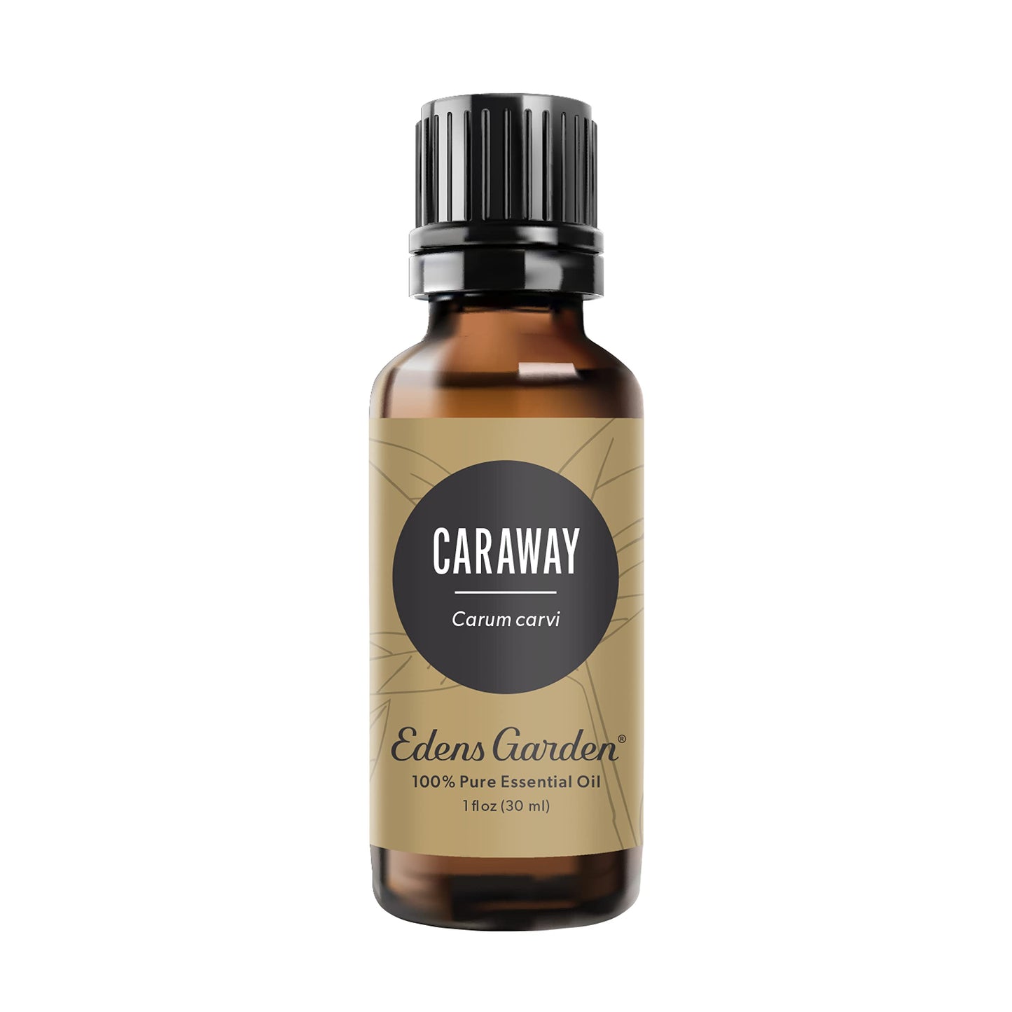 Edens Garden Caraway Essential Oil – 100% Pure Premium Grade, 30 ml