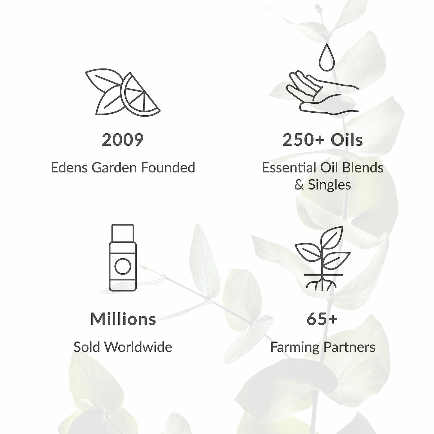 Edens Garden Cinnamon Leaf Essential Oil – 100% Pure, Premium Grade, 30 ml (1 oz) | Aromatherapy