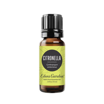 Edens Garden Citronella Essential Oil – 100% Pure Premium Grade, Undiluted, 10 ml
