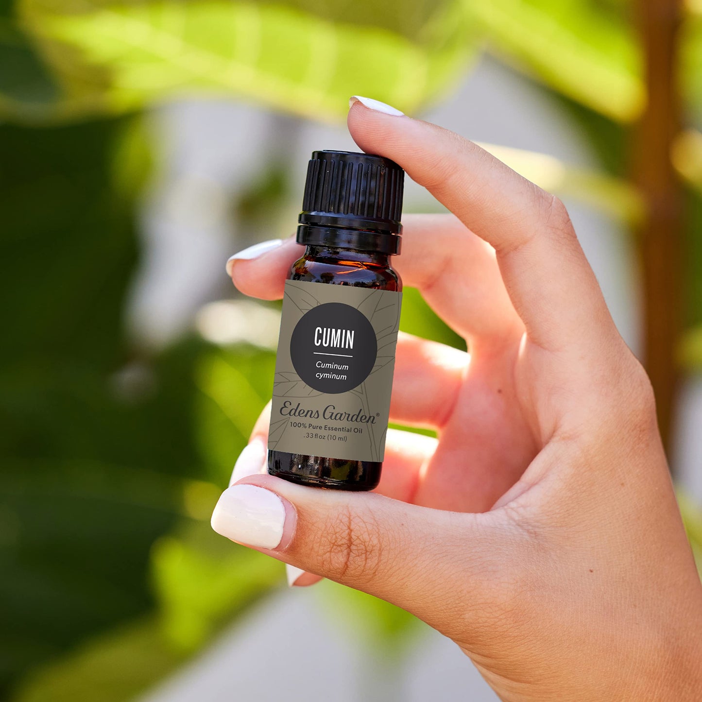 Edens Garden Cumin Essential Oil – 100% Pure, Premium Grade, 30 ml