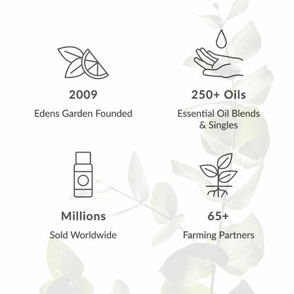 Edens Garden Dill Weed Essential Oil - 100% Pure, Premium Grade, 30 ml