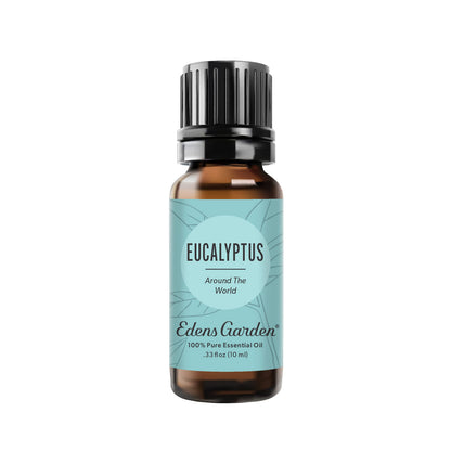Edens Garden Eucalyptus Around The World Essential Oil - 100% Pure Therapeutic Grade, 10 ml