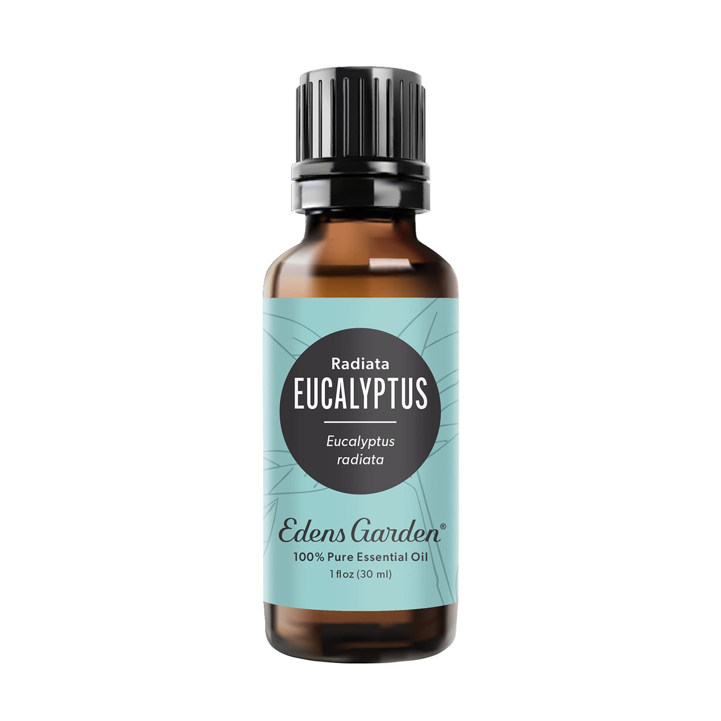 Edens Garden Eucalyptus Radiata Essential Oil – 30 ml | 100% Pure Therapeutic Grade