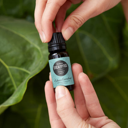Edens Garden Eucalyptus Radiata Essential Oil – 30 ml | 100% Pure Therapeutic Grade