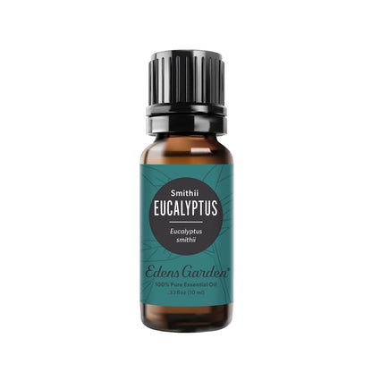 Edens Garden Eucalyptus Smithii Essential Oil - 100% Pure Premium Grade 10 ml