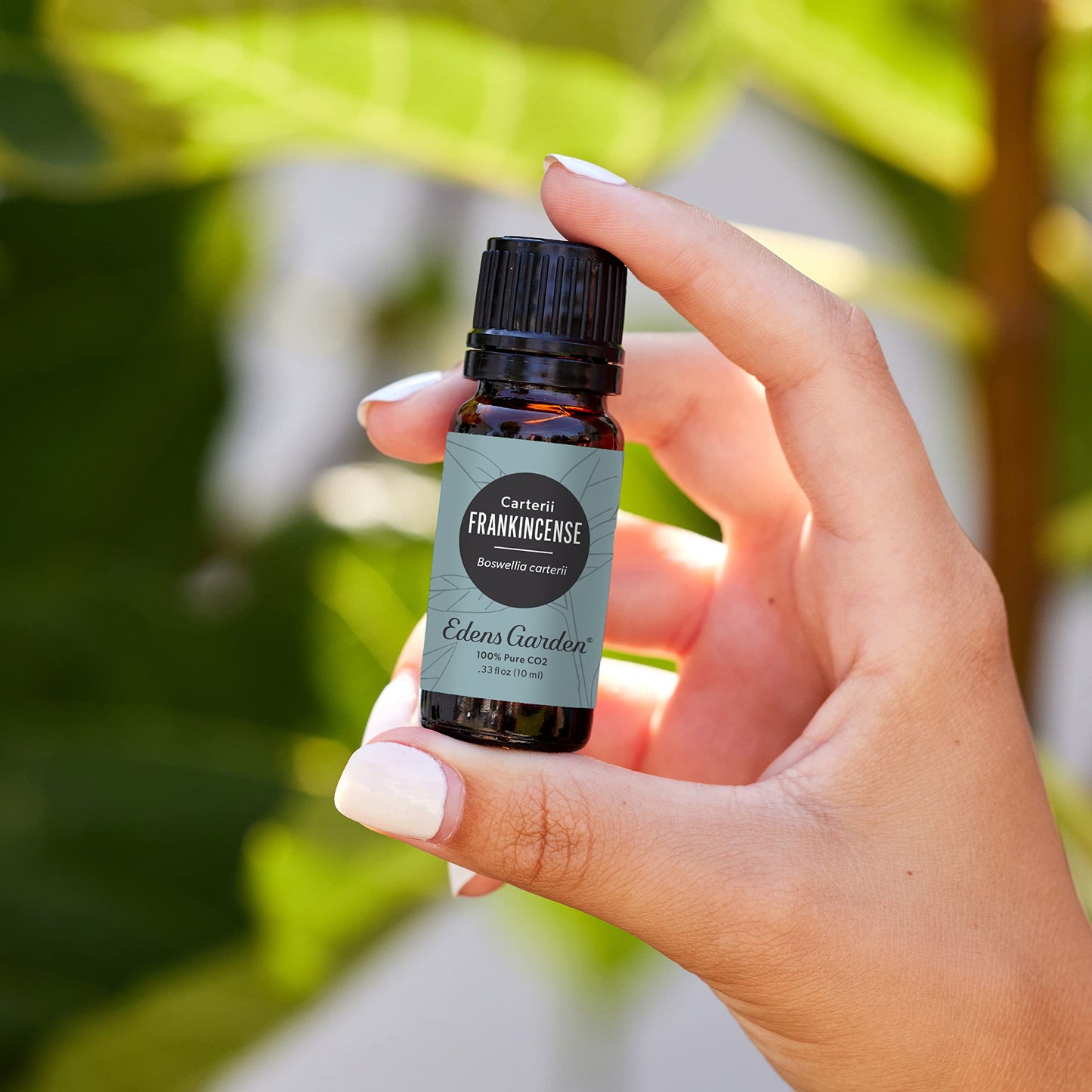 Edens Garden Frankincense CO2 Essential Oil - 30 ml (1 fl oz) | Premium Grade, 100% Pure, Undiluted, Therapeutic Aromatherapy