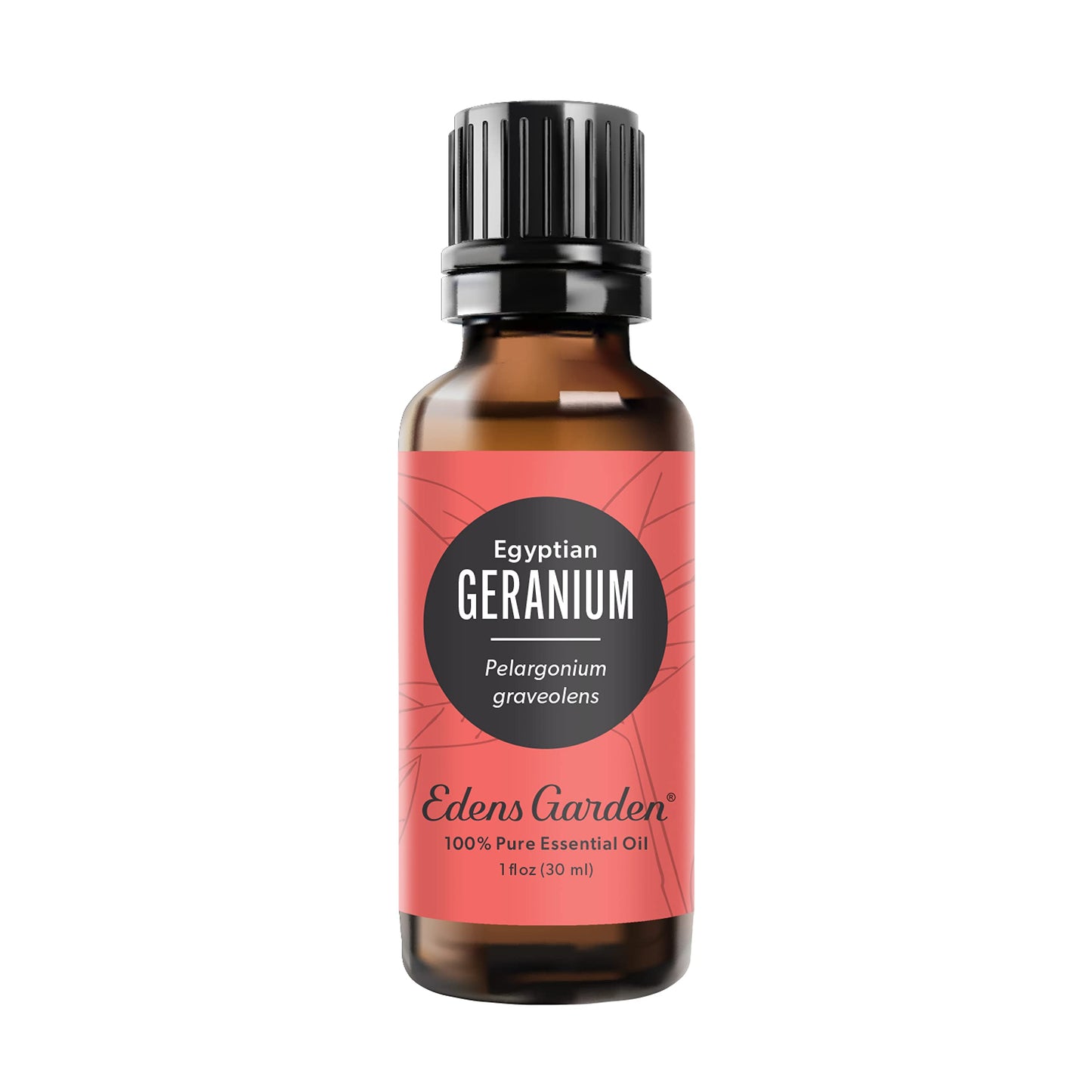 Edens Garden Geranium - Egyptian Essential Oil, 100% Pure Therapeutic Grade, 30 ml