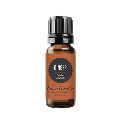 Edens Garden Ginger Essential Oil – 100% Pure, Premium Grade, 10 ml