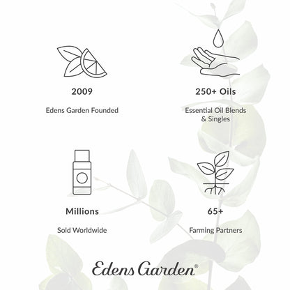Edens Garden Hot Chocolate Hugs Essential Oil Blend - 100% Pure, Premium Grade, 10 ml