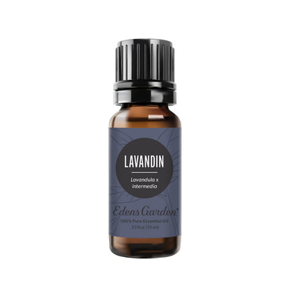 Edens Garden Lavandin Essential Oil – 100% Pure Premium Grade, 10 ml