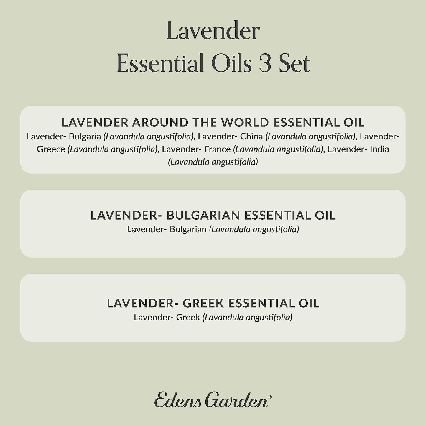 Edens Garden Lavender Essential Oils 3 Set – 100% Pure Therapeutic Grade, 10 ml