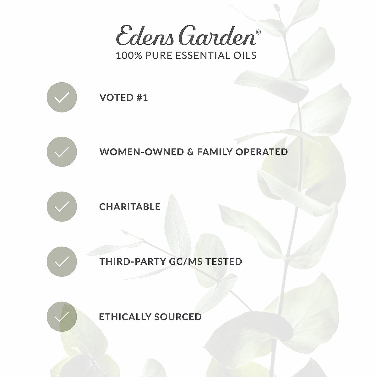 Edens Garden Ledum Essential Oil – 100% Pure, Premium Grade, 30 ml