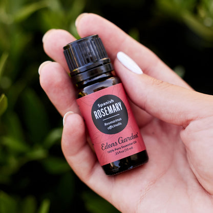 Edens Garden Rosemary - Spanish Essential Oil, 10 ml | 100% Pure Premium Grade