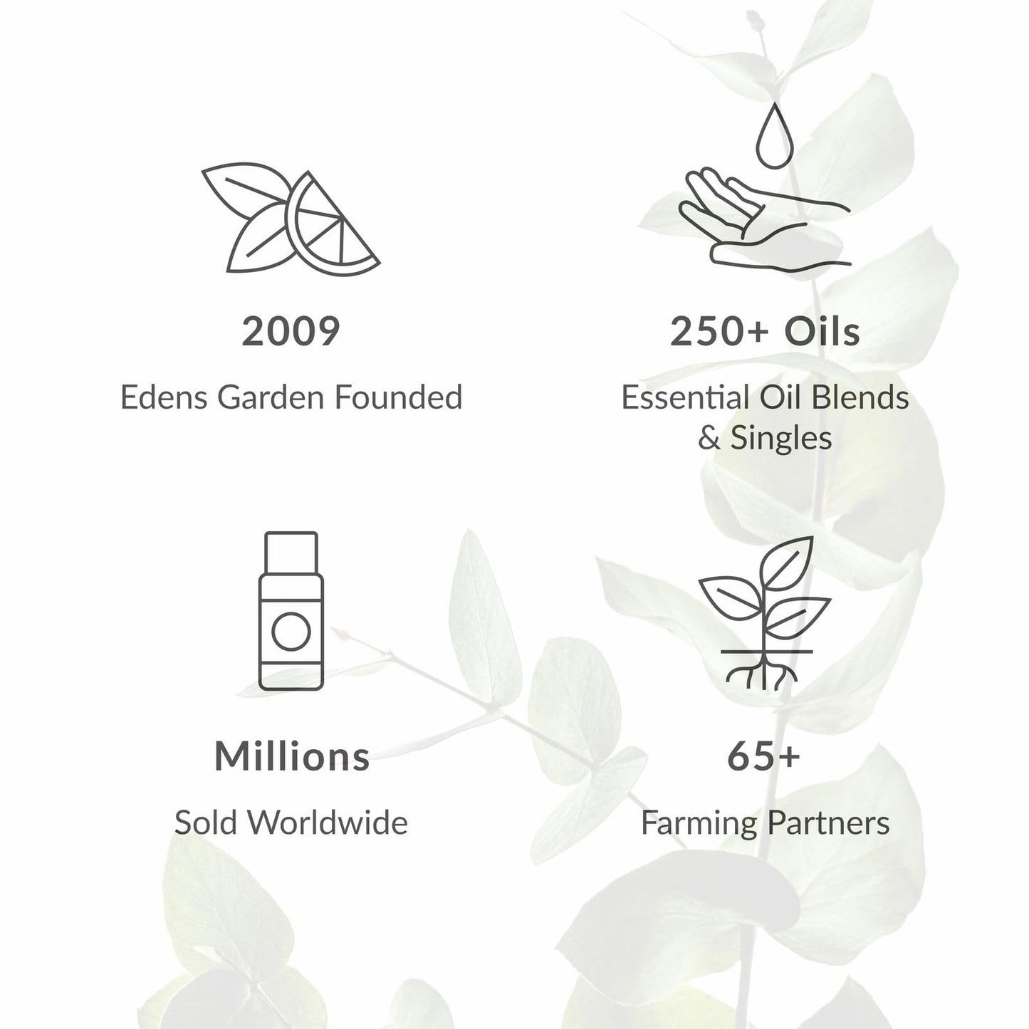 Edens Garden Sweet Pea Essential Oil Blend – 100% Pure, Premium Grade (10 ml)