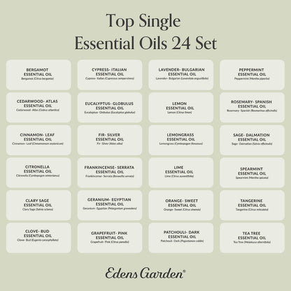 Edens Garden Essential Oils Top 24 Set – 24 x 10 ml, 100% Pure Therapeutic Grade