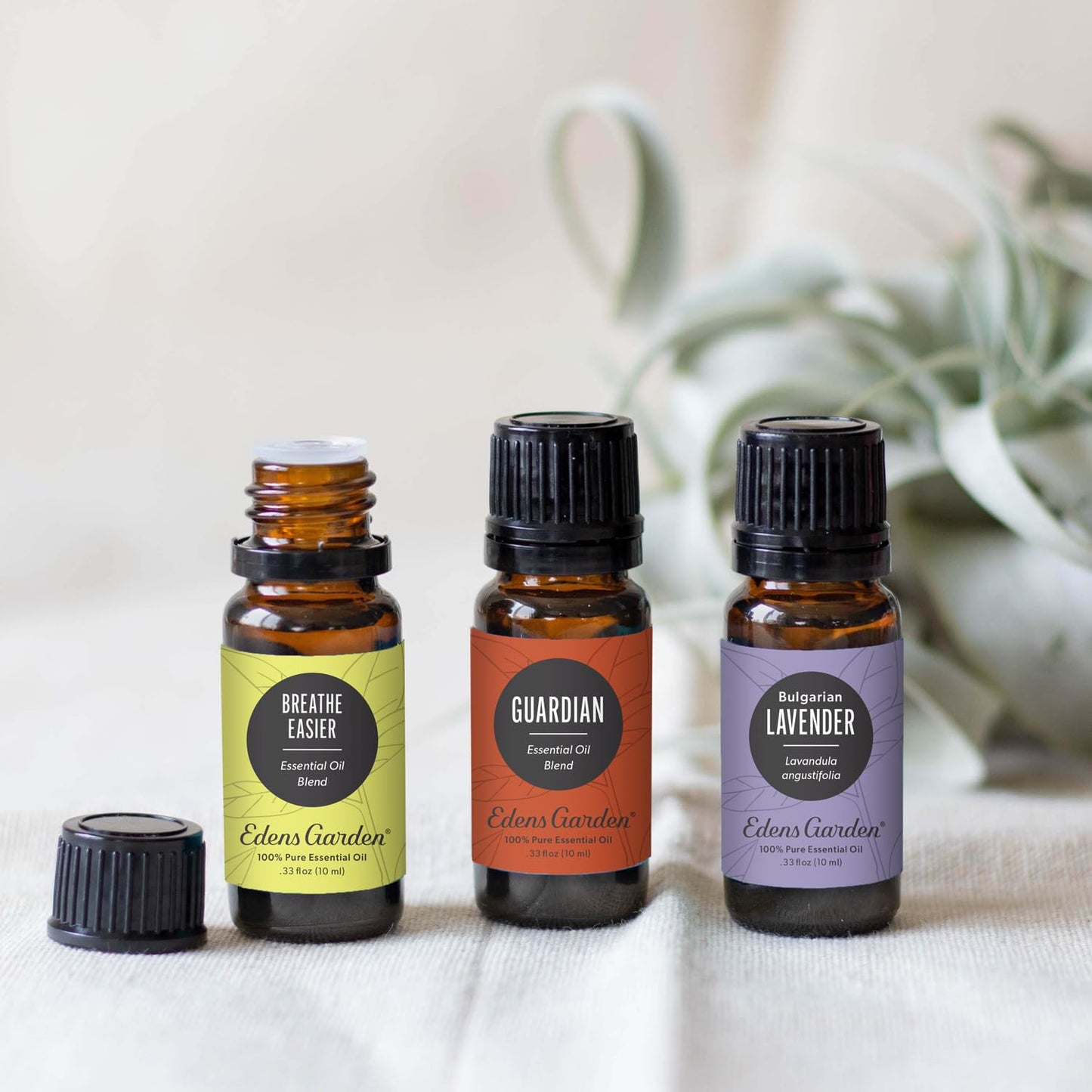 Edens Garden Well-Being 3 Set – 100% Pure Therapeutic Grade Essential Oils (10 ml x3) – Breathe Easier, Guardian & Lavender