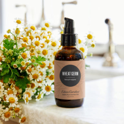 Edens Garden Wheat Germ Carrier Oil - 100% Pure Cold-Pressed & Hexane Free (118 ml / 4 fl oz)