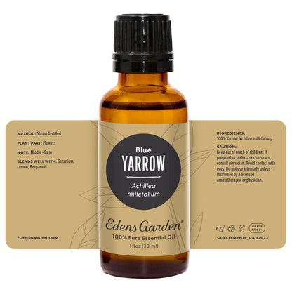 Edens Garden Yarrow-Blue Essential Oil – 100% Pure Premium Grade, 30 ml