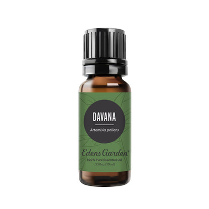 Edens Garden Davana Essential Oil - 100% Pure Therapeutic Grade, 10 ml